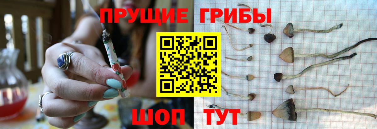 Псилоцибиновые грибы Magic Shrooms  Вход с VPN  Галлюциногенные грибы Magic Shrooms  Бузулук 